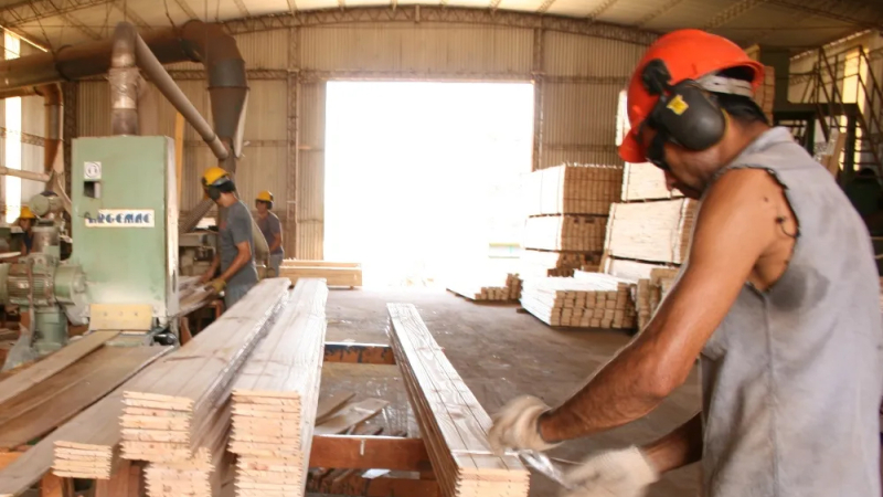 Para el sector forestal "la ideología se ha impuesto sobre la producción"