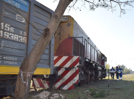 tren2.jpg