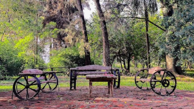 Una semana a pura escultura en madera en General San Martín
