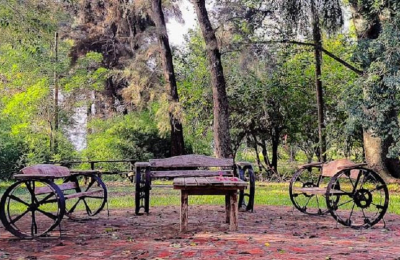 Una semana a pura escultura en madera en General San Martín