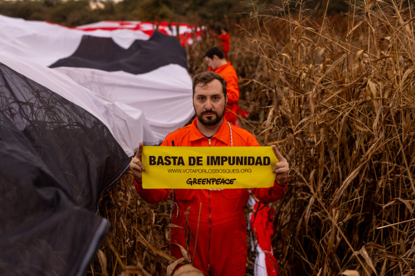 © Sebastian Pani / Greenpeace