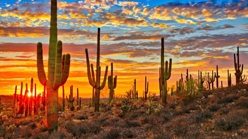 Una región de México superó los 80 grados, según la NASA