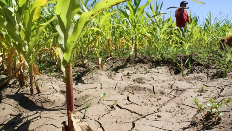 El déficit hídrico se acentuó en junio, en un invierno que sigue ofreciendo pocos días fríos 