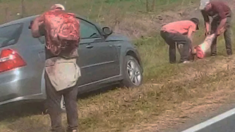 Volcó un camión jaula y los vecinos faenaron las vacas en la ruta
