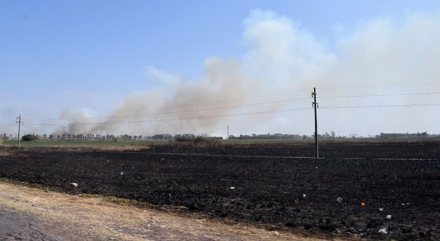 incendios-campos3.jpg
