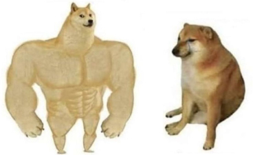 Murió Cheems, el perro más famoso y dueño de todos los memes