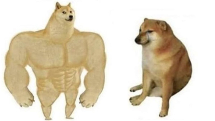 perrito meme 3.jpg