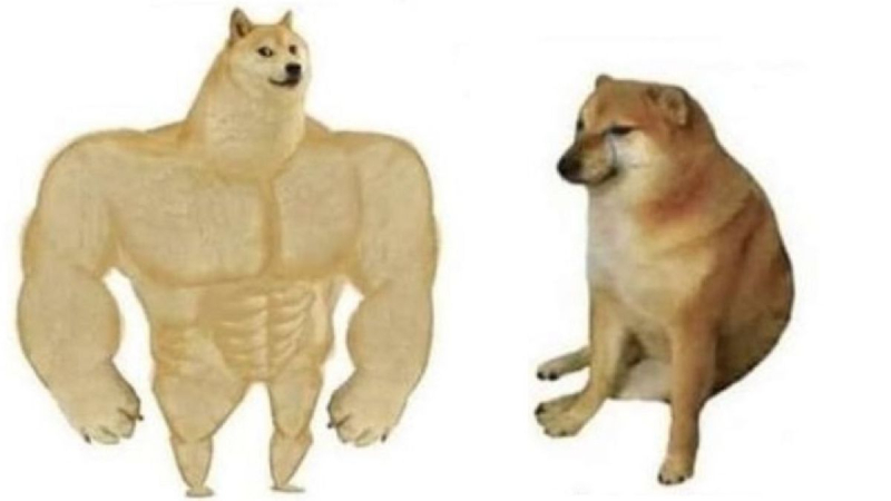 Murió Cheems, el perro más famoso y dueño de todos los memes