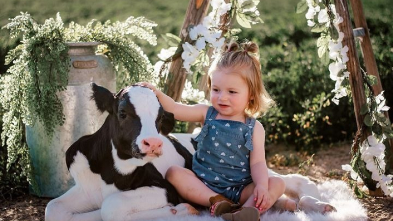 Cada día nacen más de 40 bebés con alergia a la proteína de leche de vaca