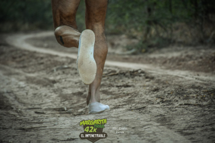 Margarita Trail El Impenetrable 2023 (24).jpg