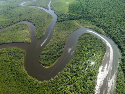 amazonas2.jpg