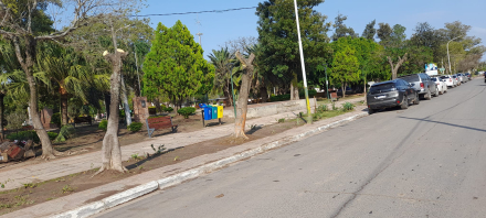 arboricidio san martin5.jpg