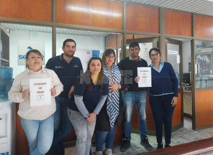 paro tres.jfif