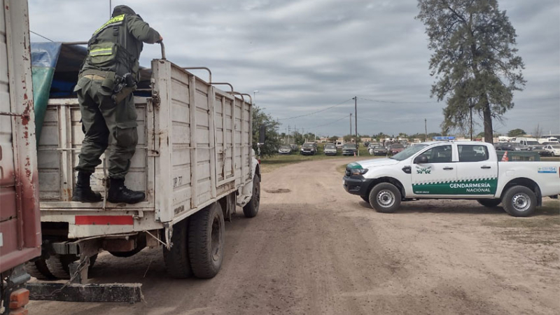 Contrabando de granos: investigan al hermano de una camarista federal