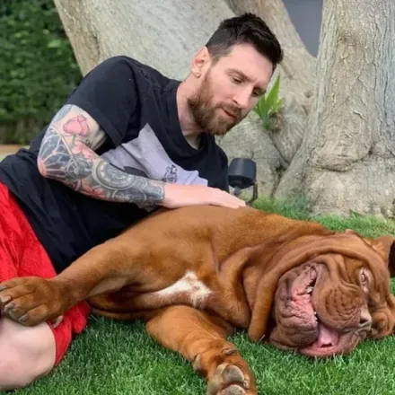 messiperro9718_sq.jpg