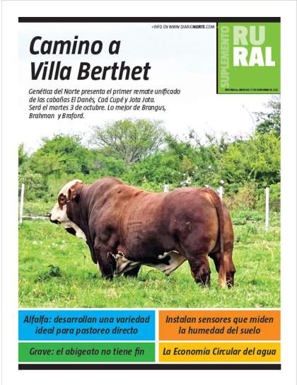 Camino a Villa Berthet