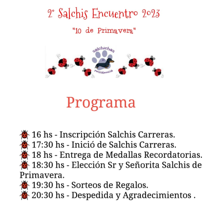 salchi encuentro programa.jfif