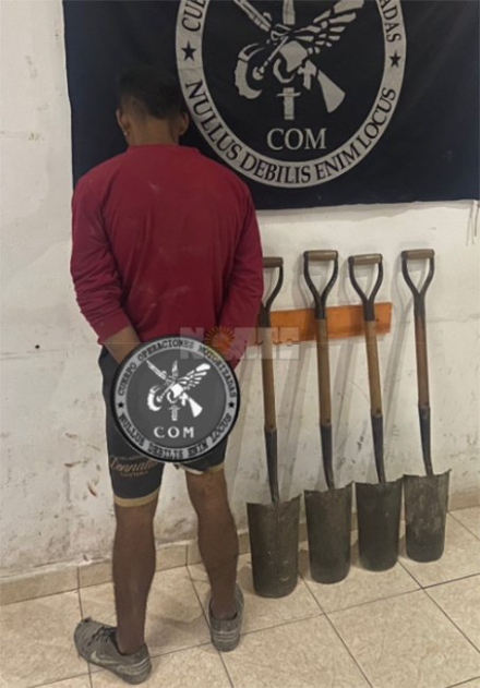 plaga con palas.jpg