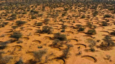 "Sonrisa de la tierra": así regeneran suelos en África