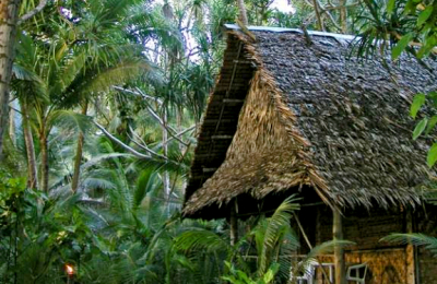 Kosrae Village: un paraíso ecoturístico inexplorado en medio del océano