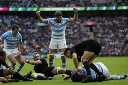 pumas2.jpg