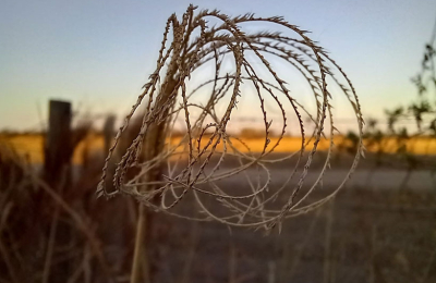 La crisis de la agricultura familiar en el interior chaqueño