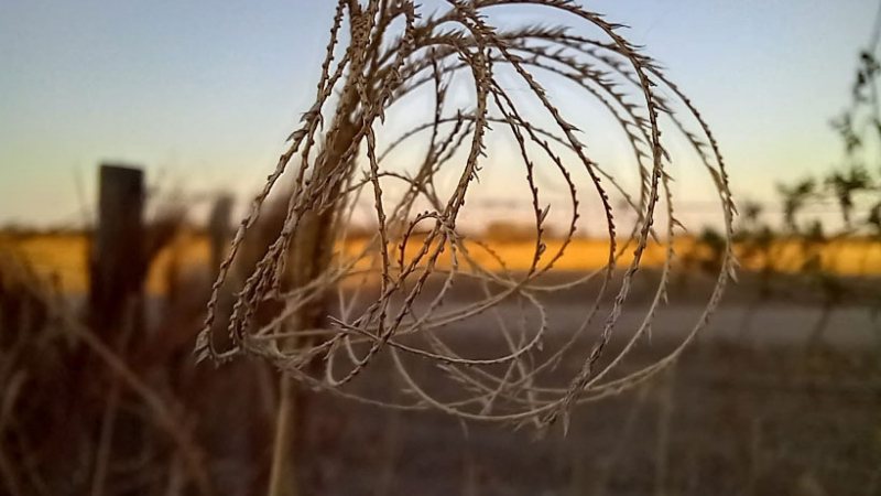 La crisis de la agricultura familiar en el interior chaqueño