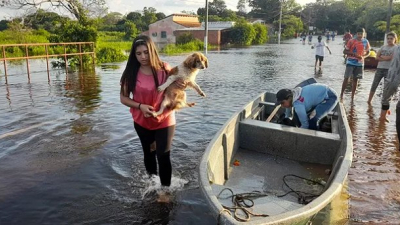 Jóvenes rescatan mascotas aisladas por la creciente