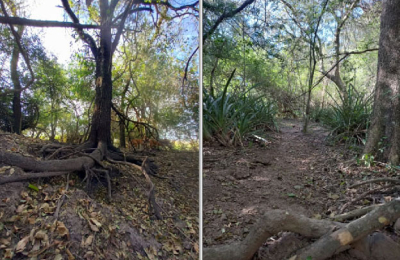 Los frutos del monte chaqueño están sufriendo los efectos de la sequía