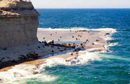 tours peninsula01.jpg