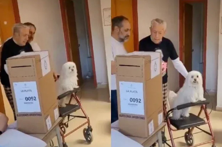 americo.jpg