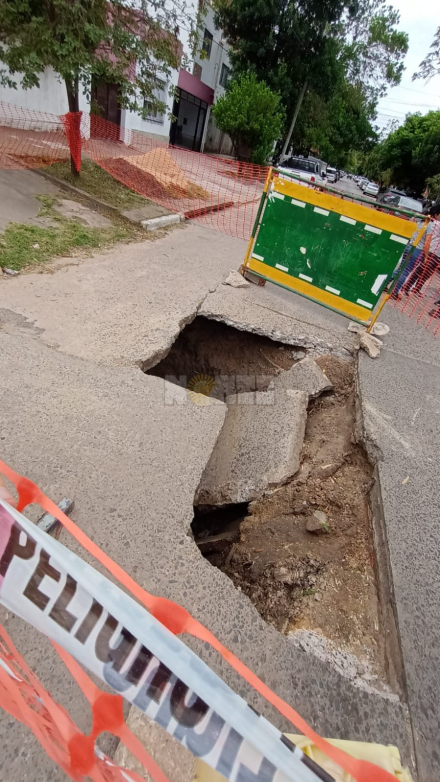 bache 2.jfif