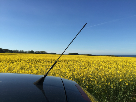 antena.jpg