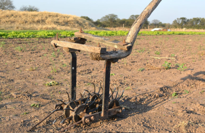 Crisis, calor y sequía, combo letal para el horticultor chaqueño