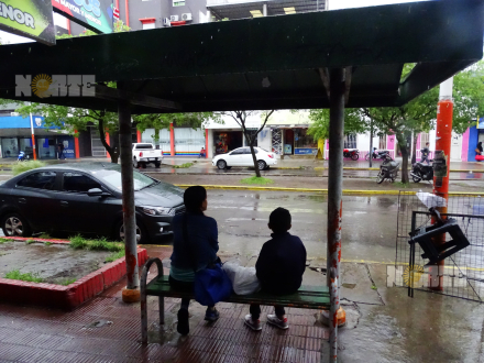 sin colectivos diciembre 1.JPG