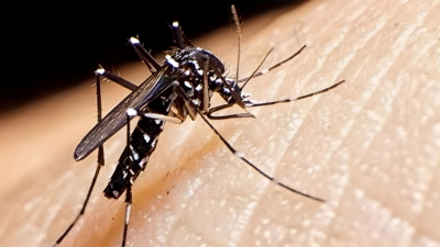 El gran aumento de los casos de dengue se debe a las notificaciones