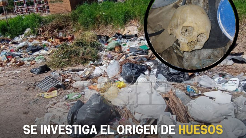 Investigan el origen de huesos humanos encontrados junto a las vías del tren