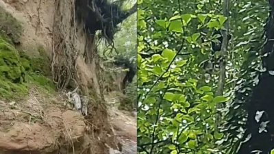 Caminaba por el monte, se topó con un duende y lo grabó
