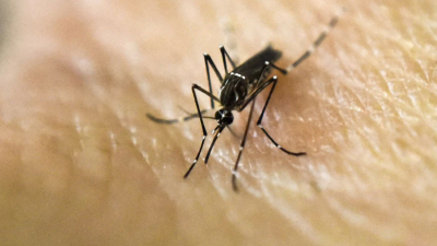 Dengue: se multiplican los pedidos de acción a la provincia y al Municipio