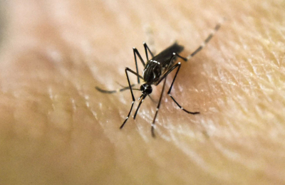 Piden medidas urgentes contra el dengue a la provincia y la Nación