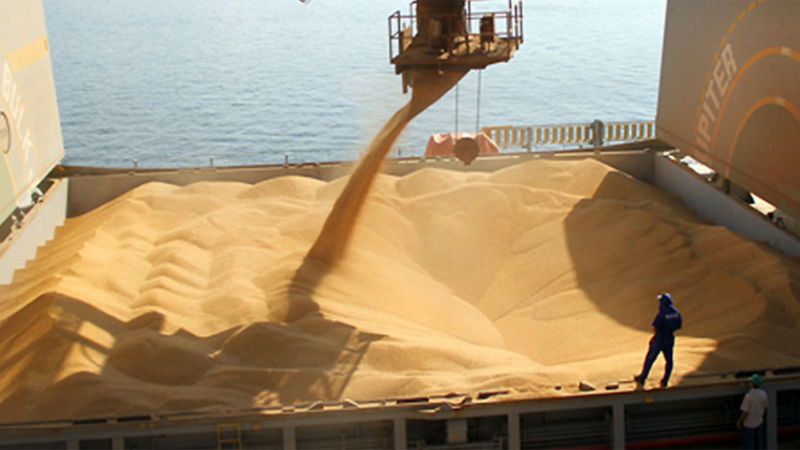 Cerealeras frenan la liquidación y ponen en crisis el programa de Caputo