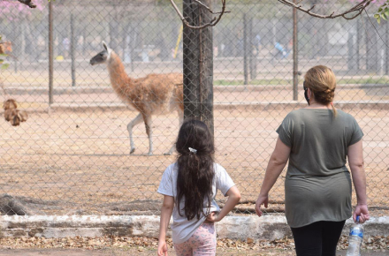 zoo.jpg