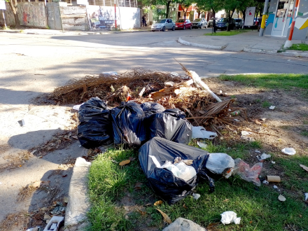 basura2.jpg