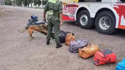 Iban de Chaco a Santa Fe: pasajeros fueron detenidos con 10 kilos de marihuana en sus valijas
