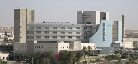 25.jpg