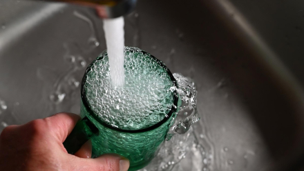 agua_de_canilla.jpeg