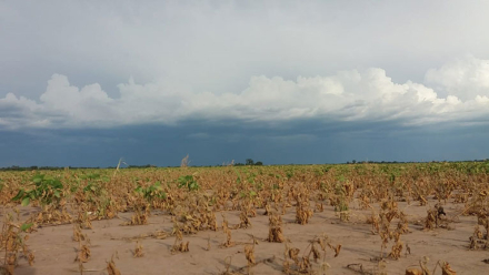 la-lluvia-no-alcanza.jpg