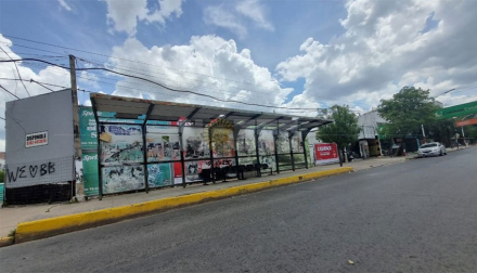 colectivos.jpg