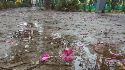 Se mantiene el pronóstico de lluvias en la provincia