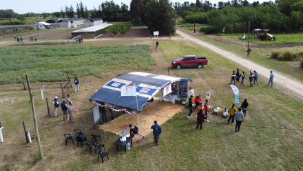 inta para rural2.jpg
